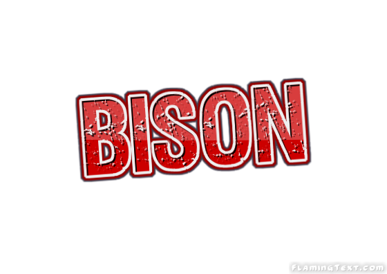 Bison город