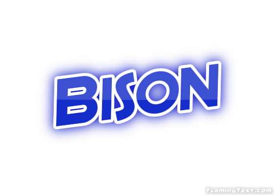 Bison Stadt