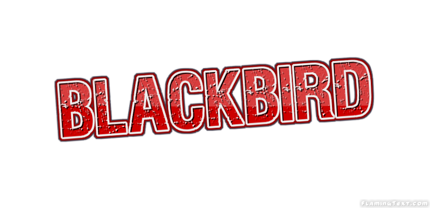 Blackbird Cidade