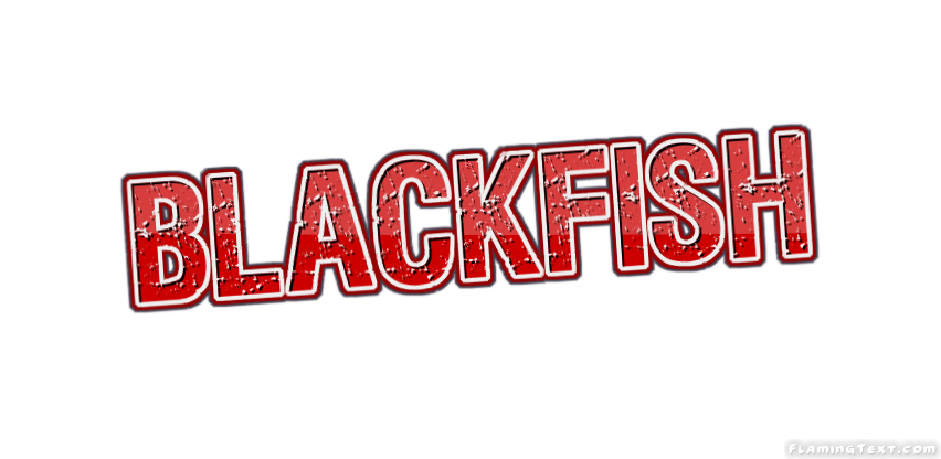 Blackfish Stadt