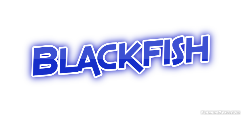 Blackfish 市