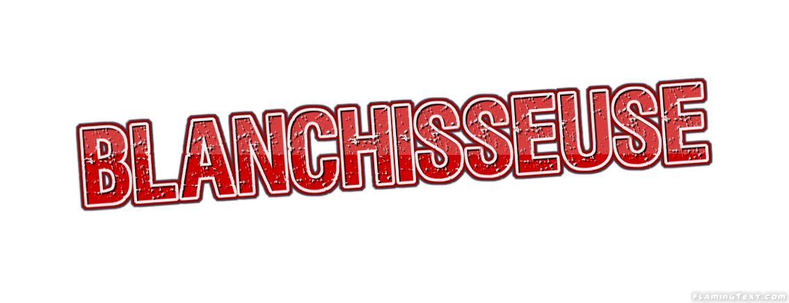 Blanchisseuse 市