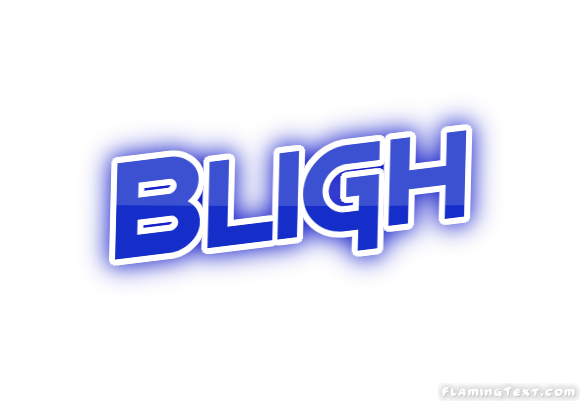 Bligh 市