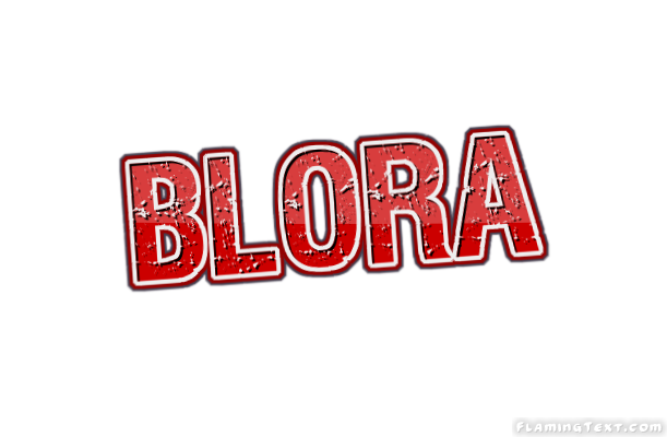 Blora City