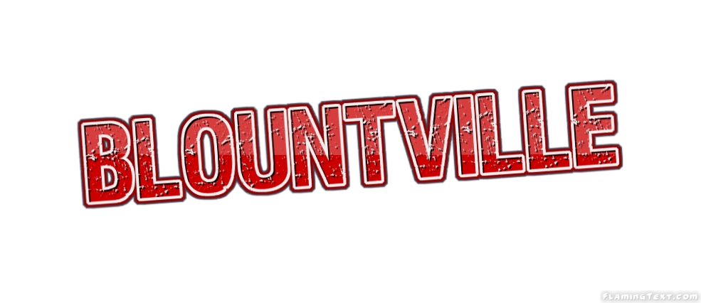 Blountville город