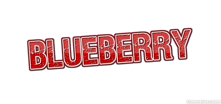 Blueberry Ville