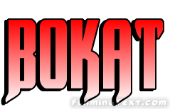 Bokat City