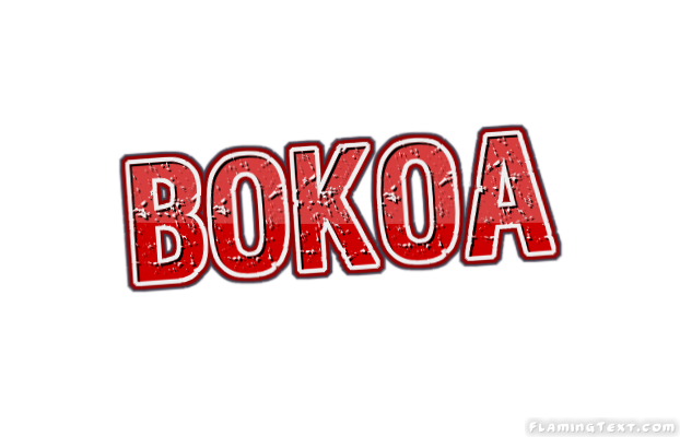 Bokoa город