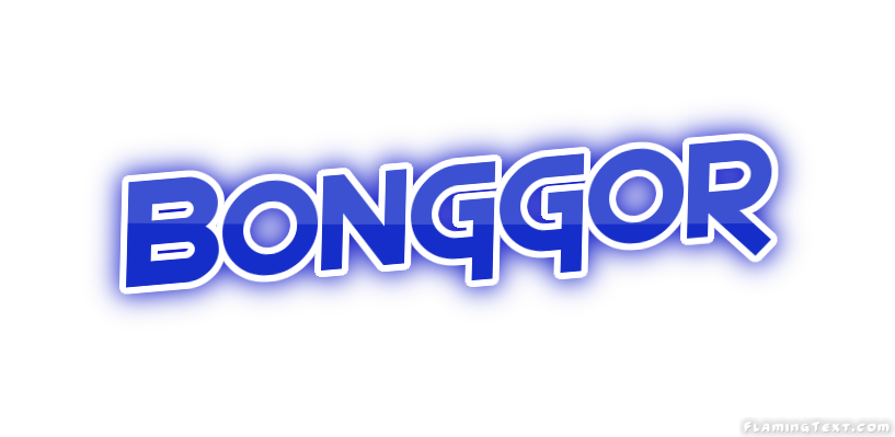 Bonggor City