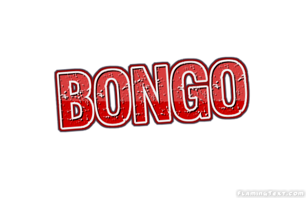 Bongo 市