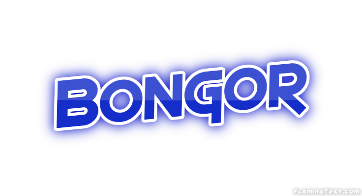 Bongor город