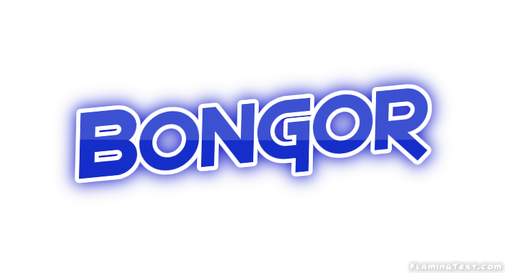 Bongor город