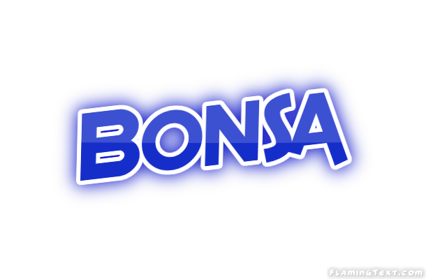 Bonsa City
