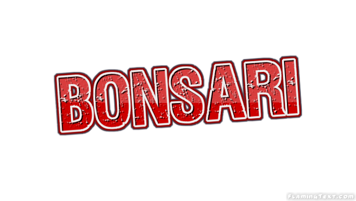 Bonsari 市