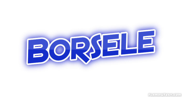 Borsele 市