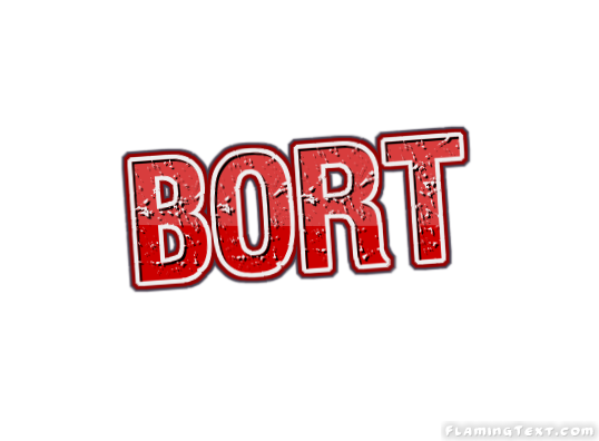 Bort город