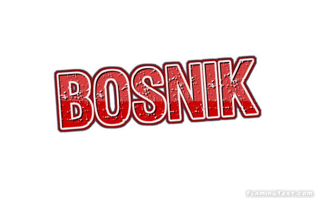 Bosnik City