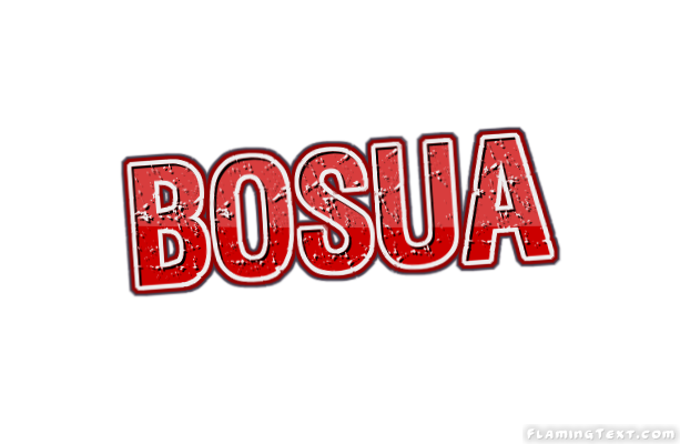 Bosua город