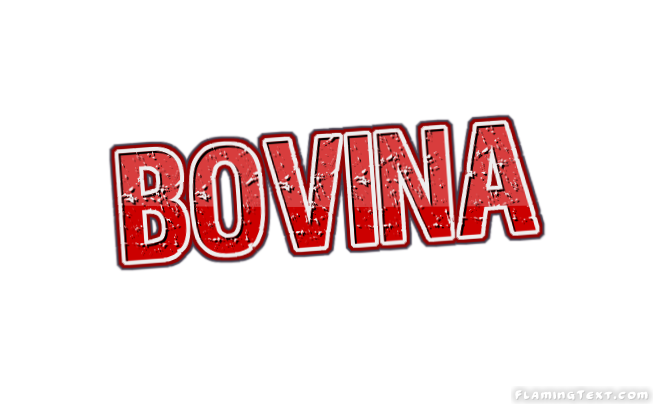 Bovina 市