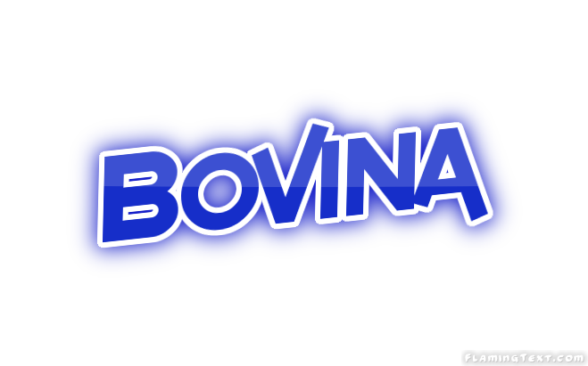 Bovina City