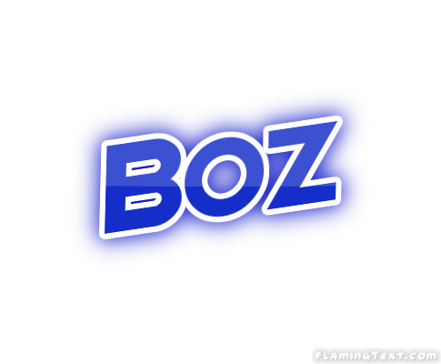 Boz City