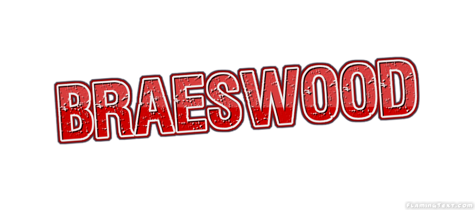 Braeswood 市