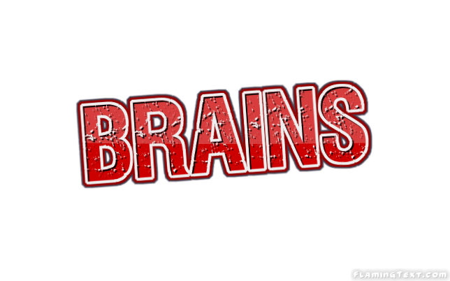 Brains Faridabad