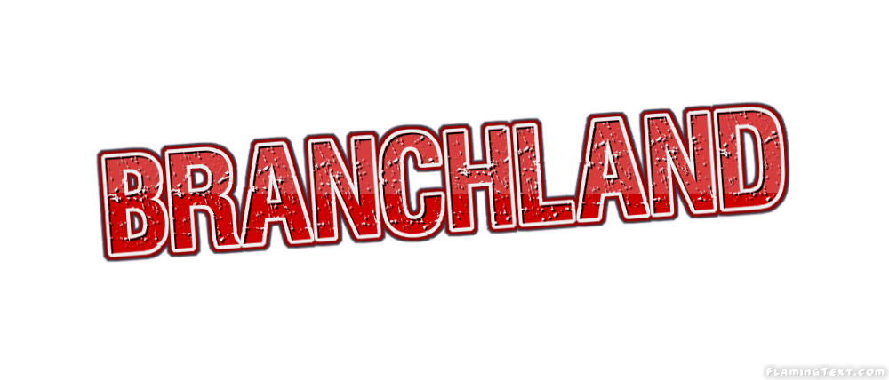 Branchland Faridabad