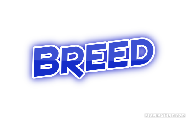 Breed город