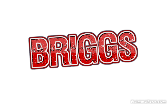 Briggs 市