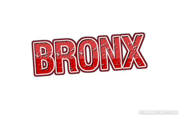 bronx logo