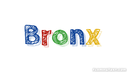 Bronx город