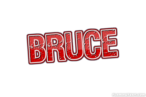 Bruce город