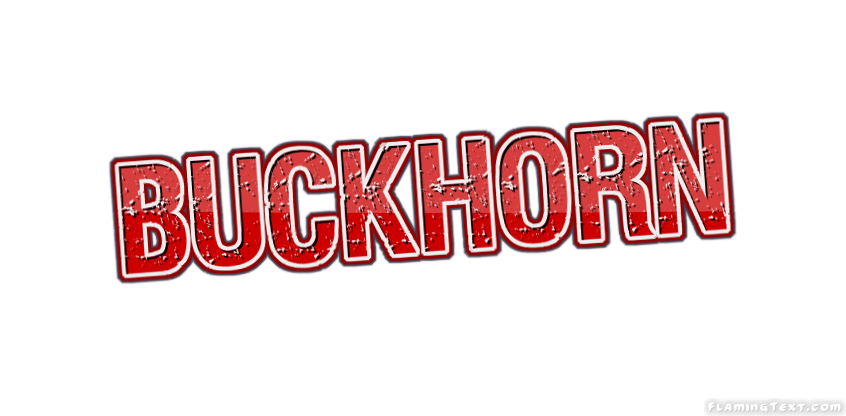 Buckhorn Stadt