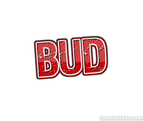 Bud Ciudad