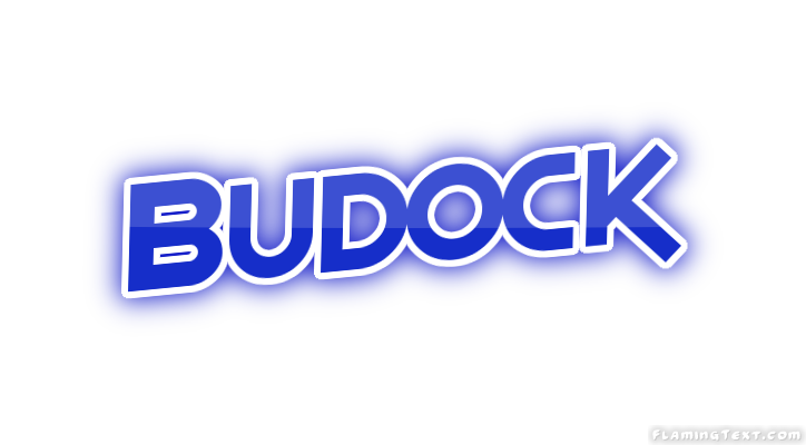 Budock город