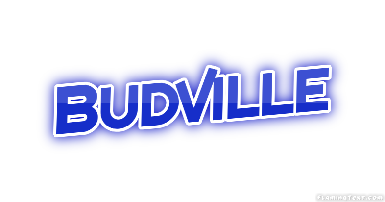 Budville City