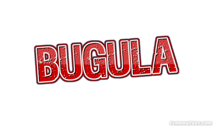 Bugula Ville