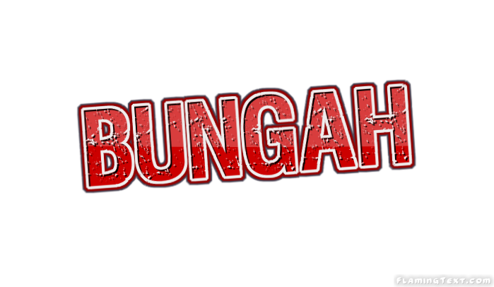 Bungah City