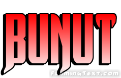 Bunut City