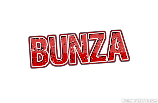 Bunza City