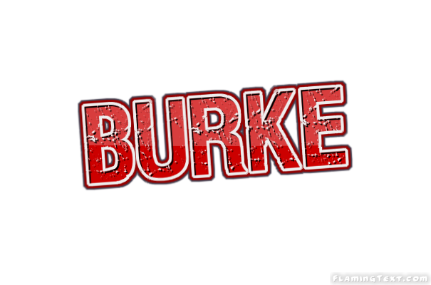 Burke مدينة