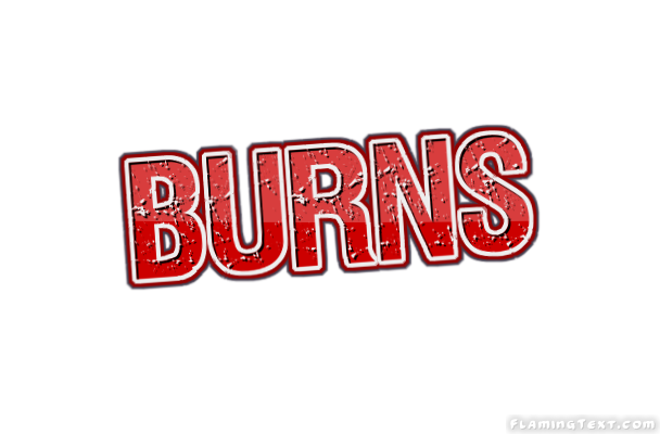 Burns Faridabad