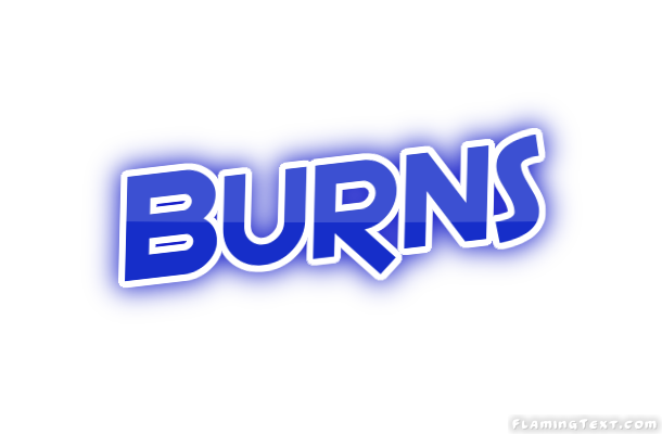 Burns Faridabad