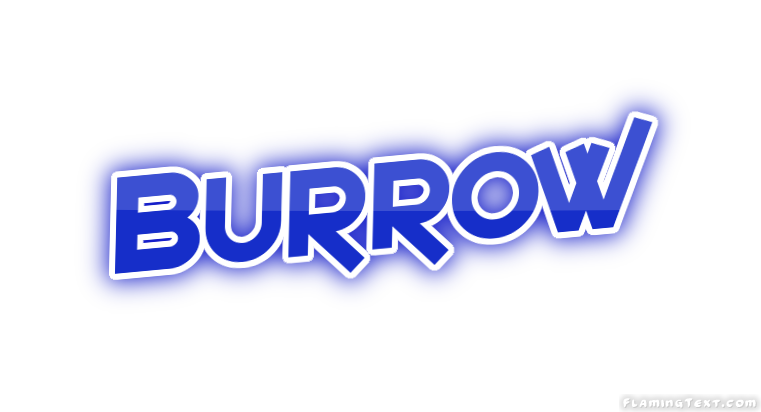 Burrow مدينة
