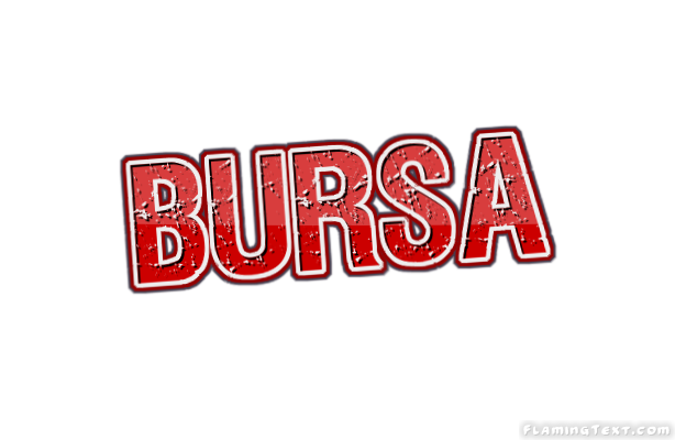 Bursa город