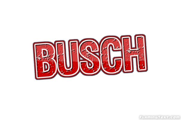 Busch مدينة