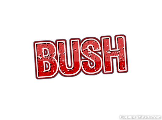 Bush مدينة