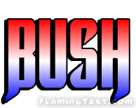 Bush город