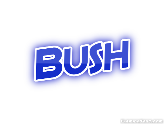 Bush Ville